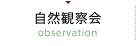 自然観察会